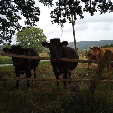 Vakantieverblijf Nature Stavelot Kültér fotó