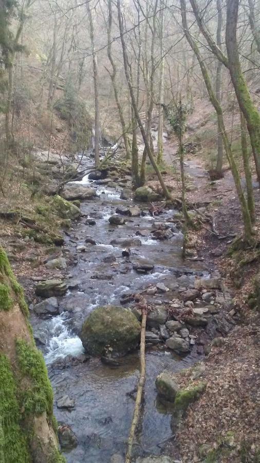 Vakantieverblijf Nature Stavelot Kültér fotó