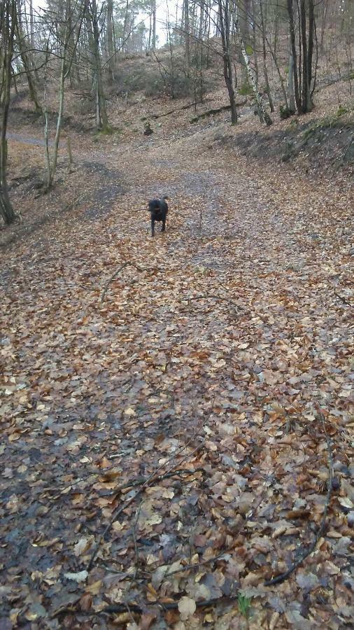 Vakantieverblijf Nature Stavelot Kültér fotó