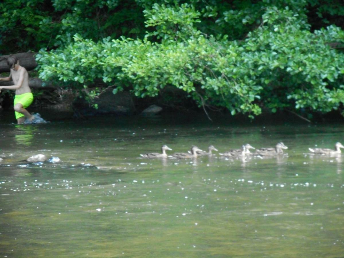 Vakantieverblijf Nature Stavelot Kültér fotó