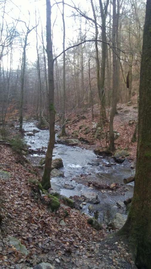 Vakantieverblijf Nature Stavelot Kültér fotó