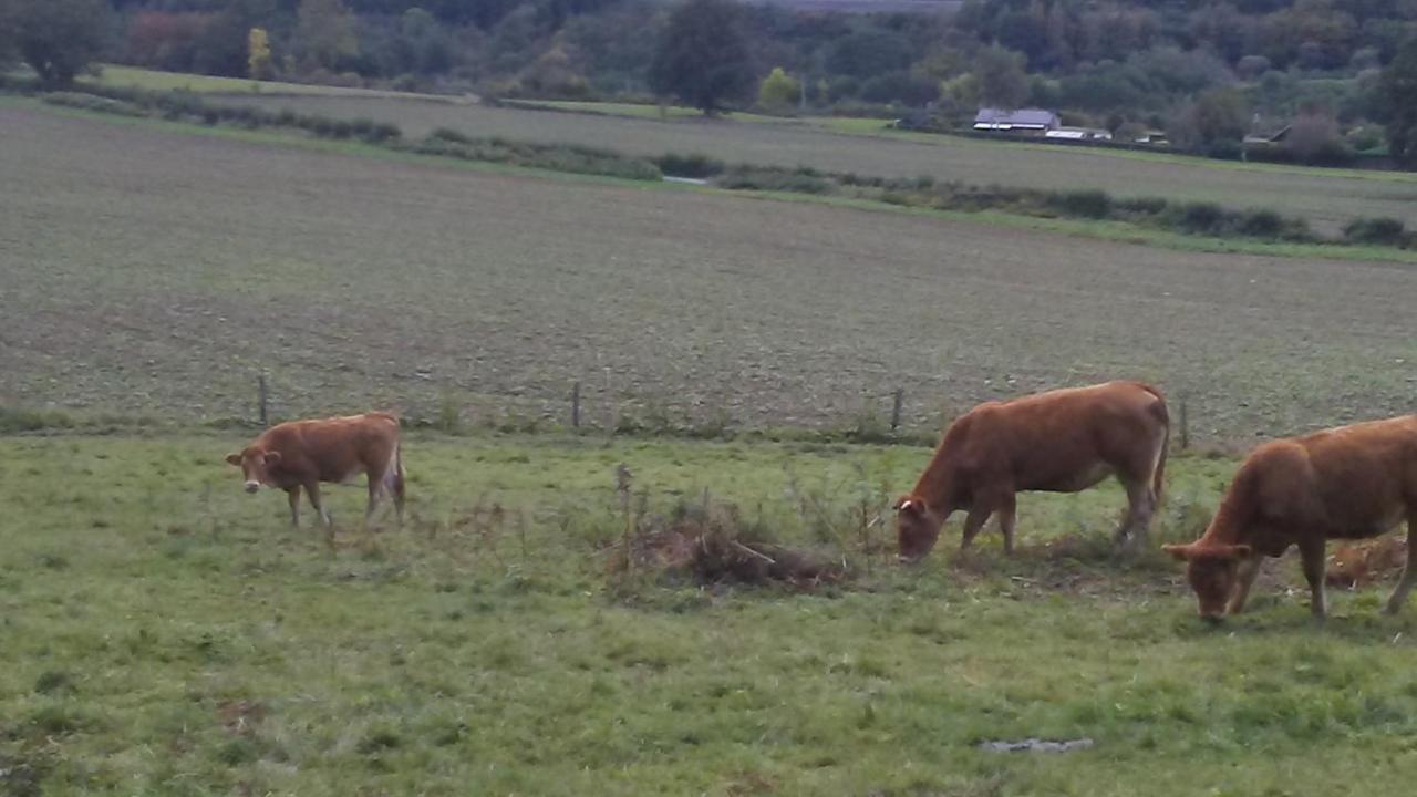 Vakantieverblijf Nature Stavelot Kültér fotó