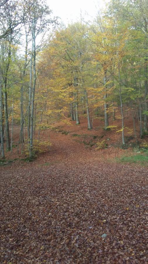 Vakantieverblijf Nature Stavelot Kültér fotó